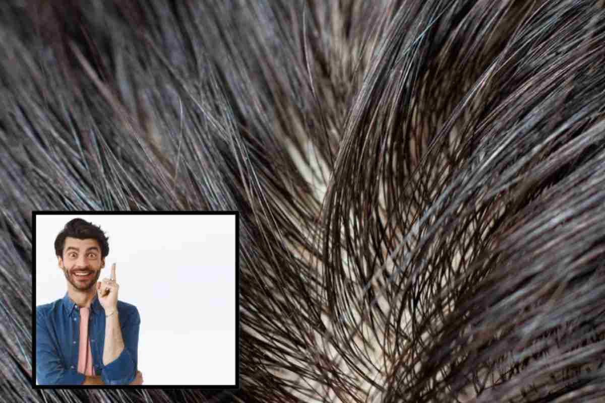 Capelli sporchi, idea