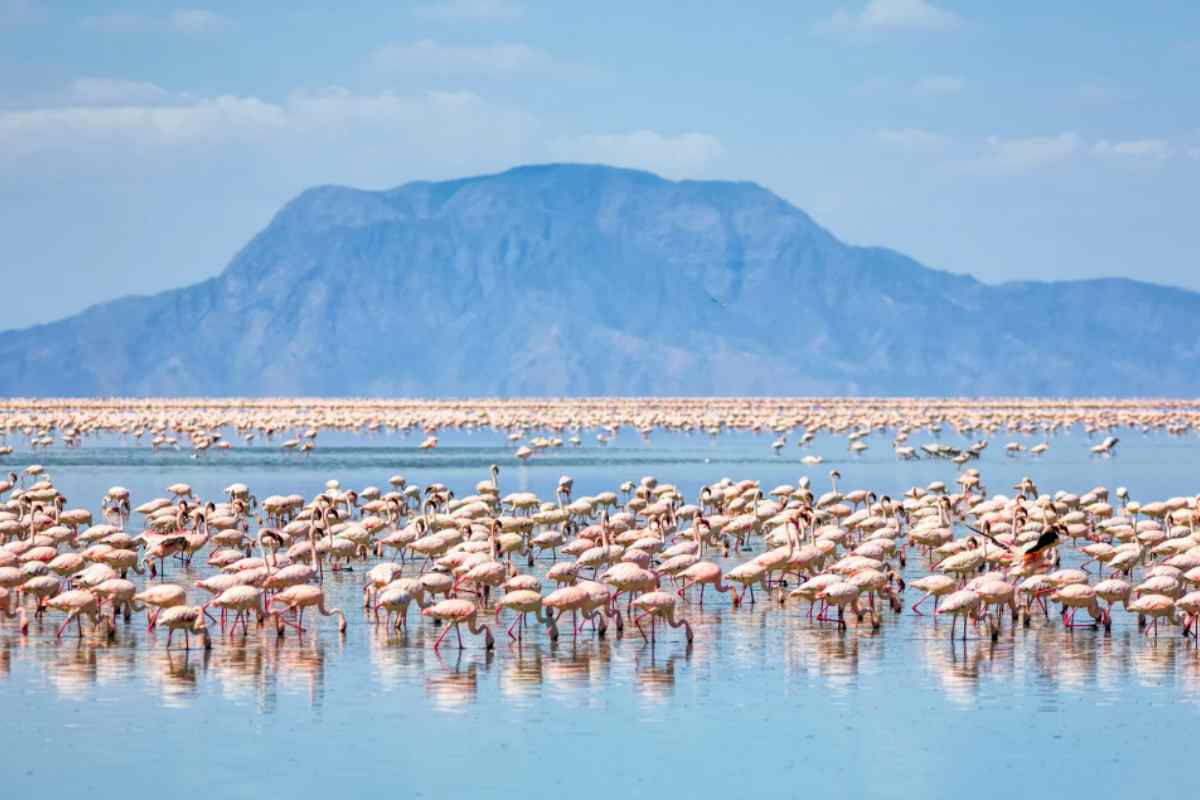 Lago Natron