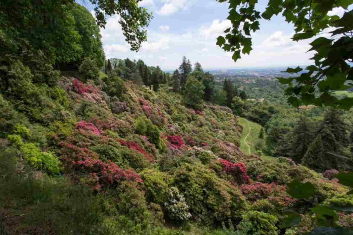 Parco che sembra giapponese