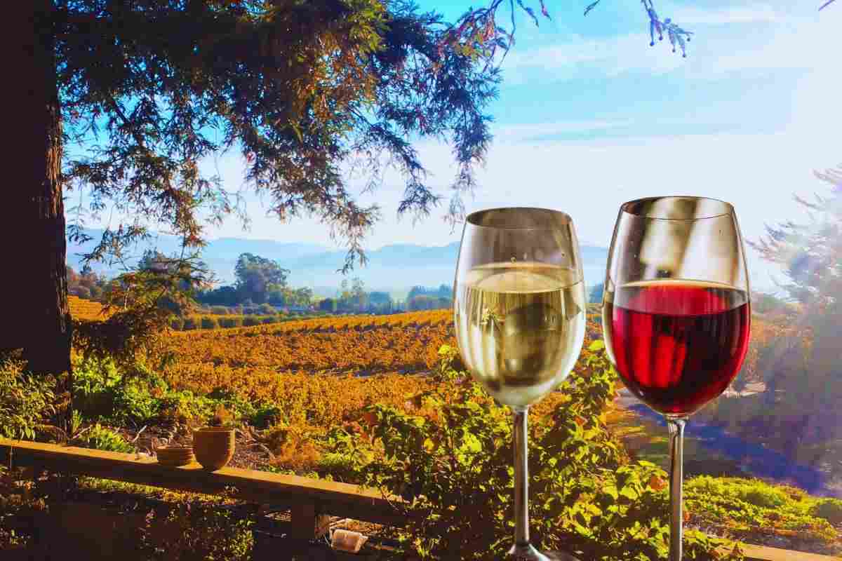 viaggio enoturistico